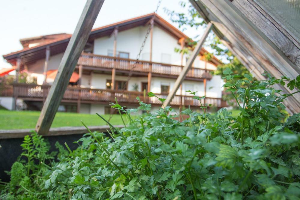 Auszeit-Wohnungen Aidenbach Exteriör bild